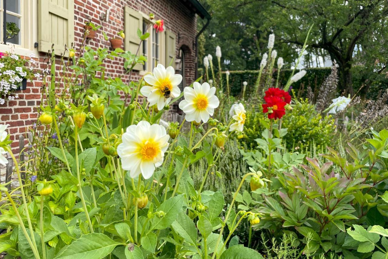 B&B De Paenhoeve Eksel Экстерьер фото